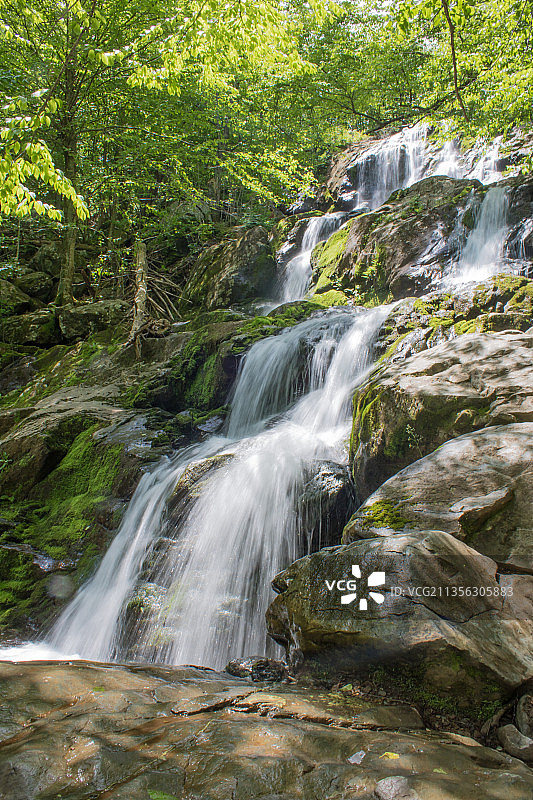 森林瀑布的风景图片素材