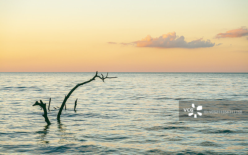 阿根廷科连特斯日落时分的海景图片素材