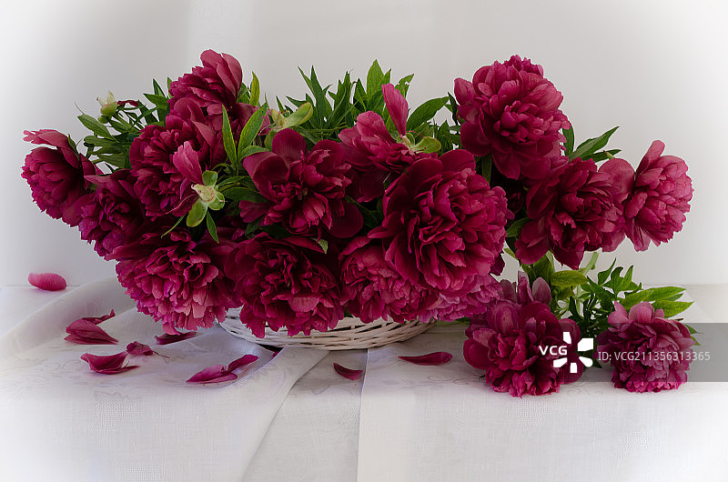 桌上鲜花特写图片素材