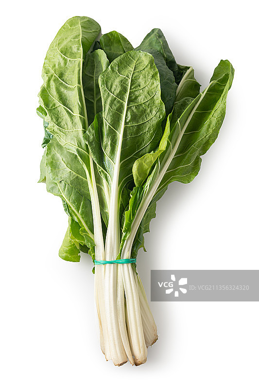 白色背景下的叶类蔬菜特写图片素材