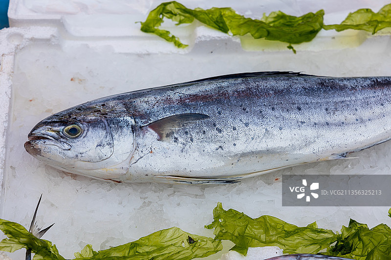 在高处拍摄的盘子里的鱼图片素材