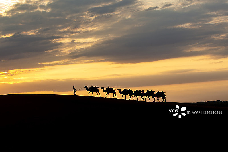 驼队图片素材