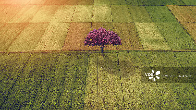 金山银山绿水青山绿色田园图片素材