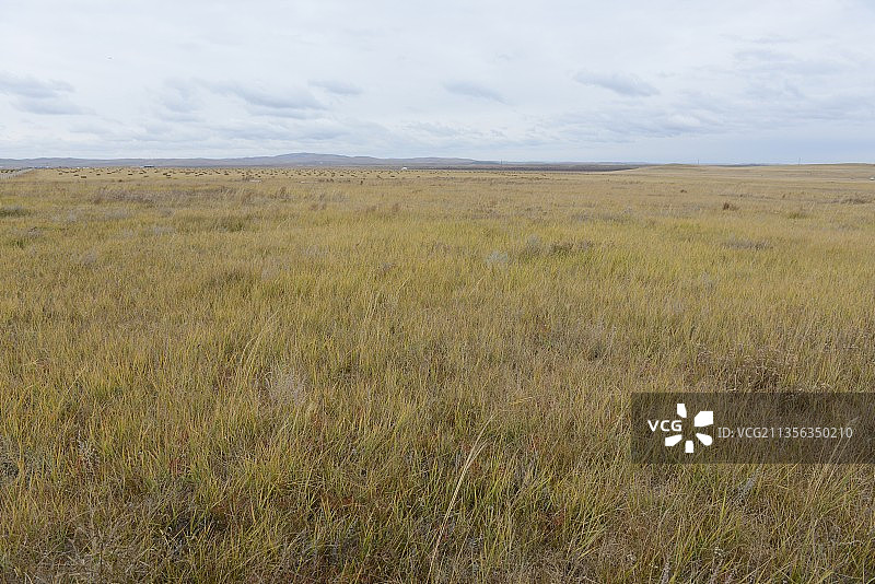 秋天的草原图片素材