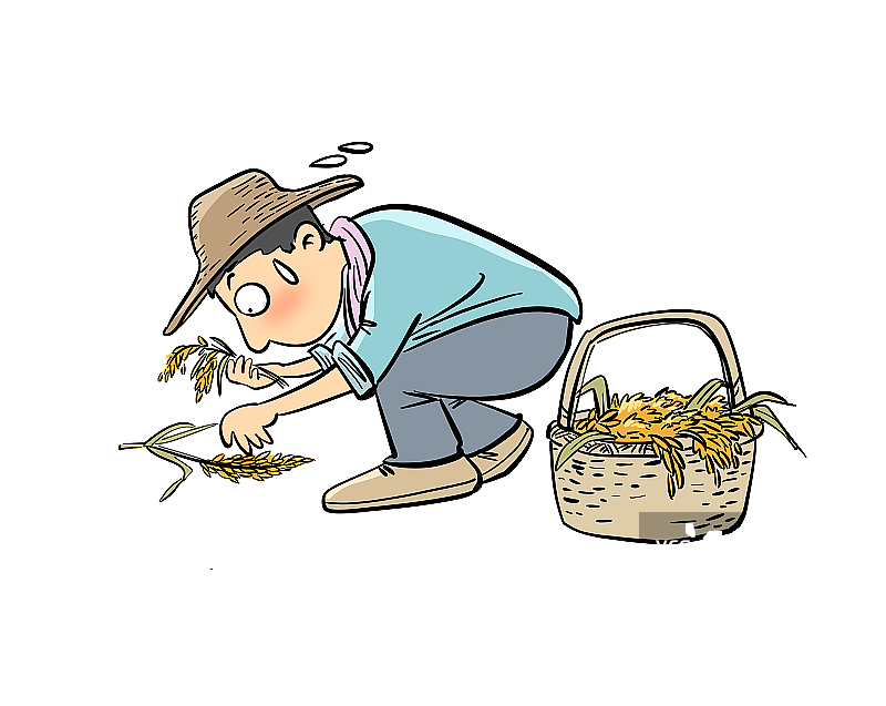 拾稻穗的农民图片素材