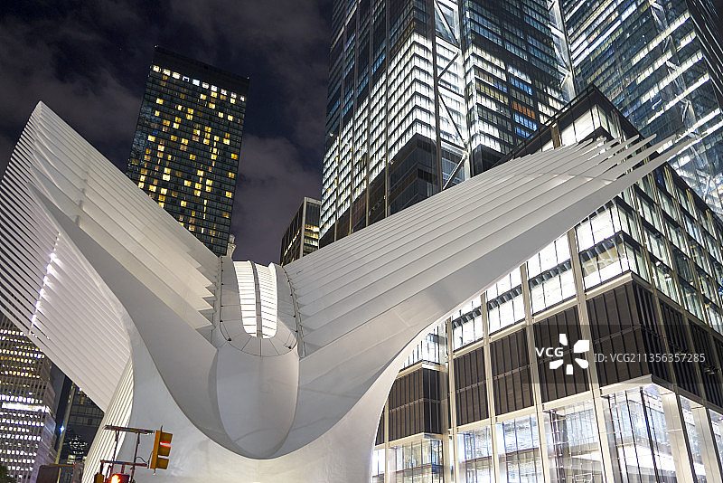 纽约世贸中心交通枢纽站，WTC交通枢纽，911废墟，和平鸽图片素材