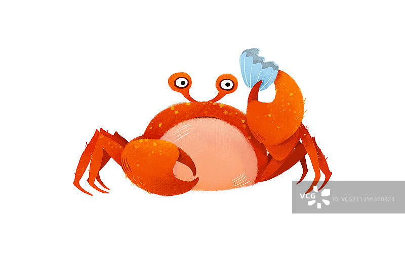 可爱动物螃蟹图片素材