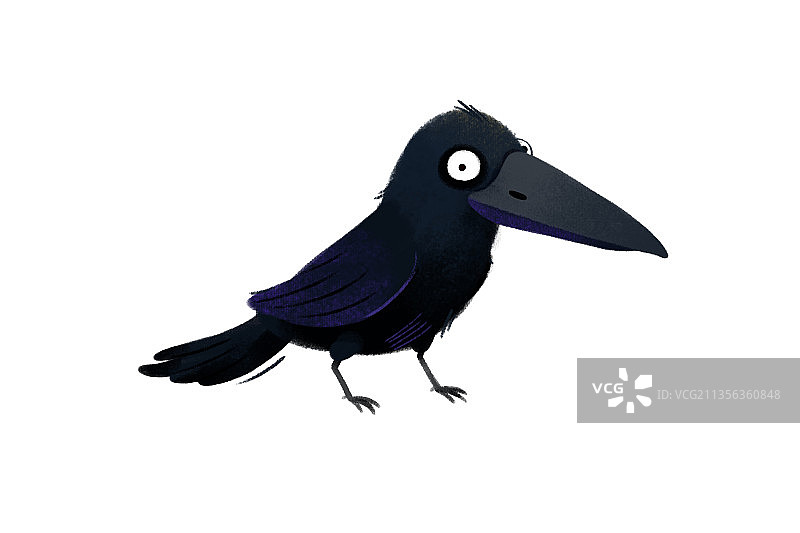 可爱动物乌鸦图片素材