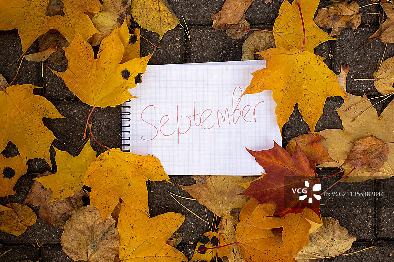 纸上文字与秋叶的俯视照片图片素材