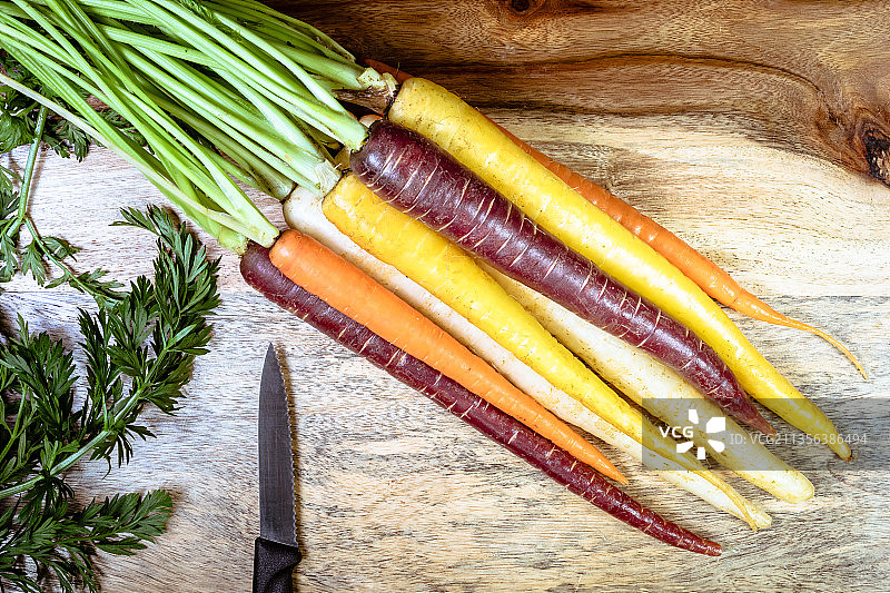 带茎新鲜胡萝卜图片素材