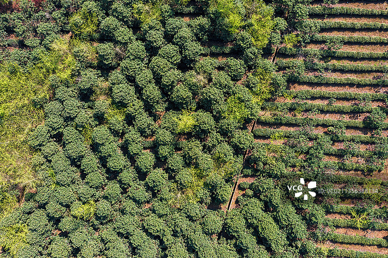江苏苏州旺山景区风光图片素材