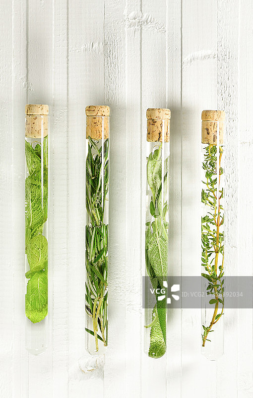 装有药草的四个试管图片素材