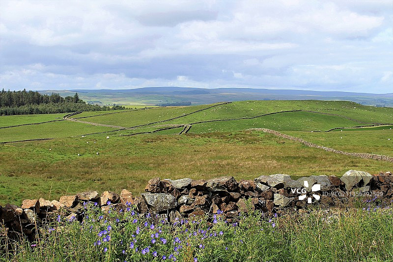英国莱本贝恩布里奇的田野风光图片素材