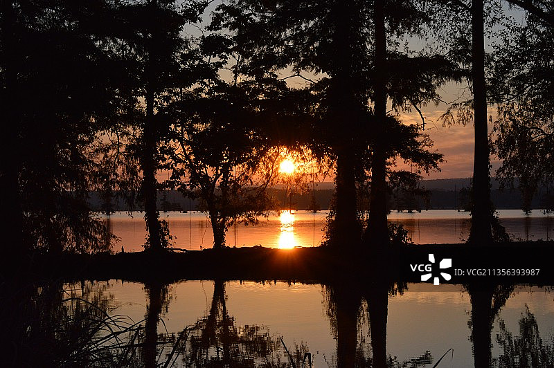 日落时分，阿肯色州康威湖边天空下的树木轮廓，美国图片素材