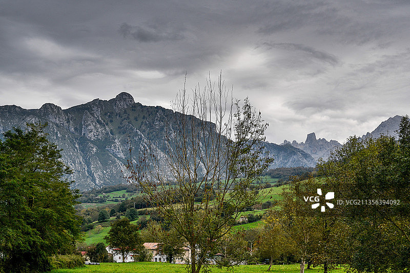 西班牙欧洲之峰的树木和山脉的风景图片素材