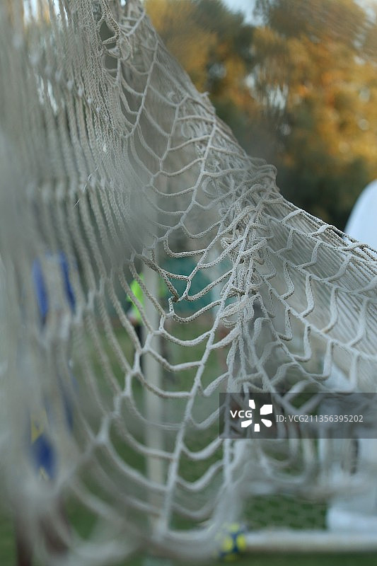塞浦路斯：铁丝网上蜘蛛网特写图片素材