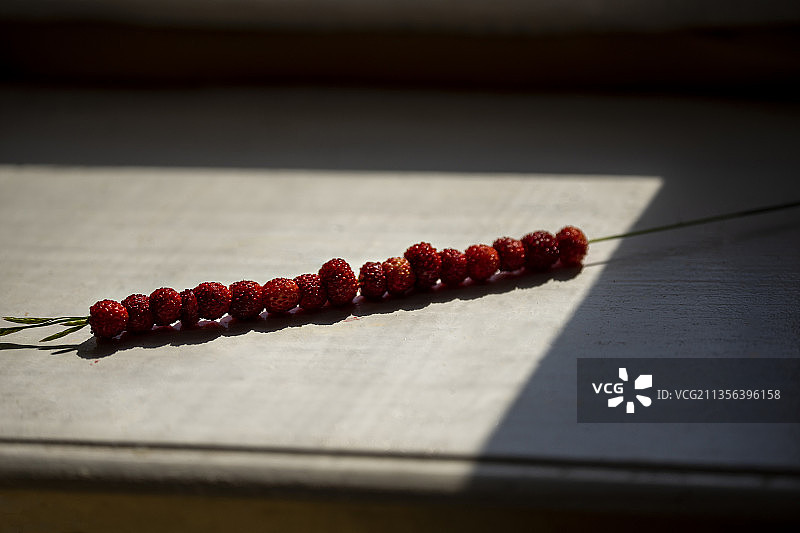 阳光下立陶宛老窗台上的野生草莓特写图片素材