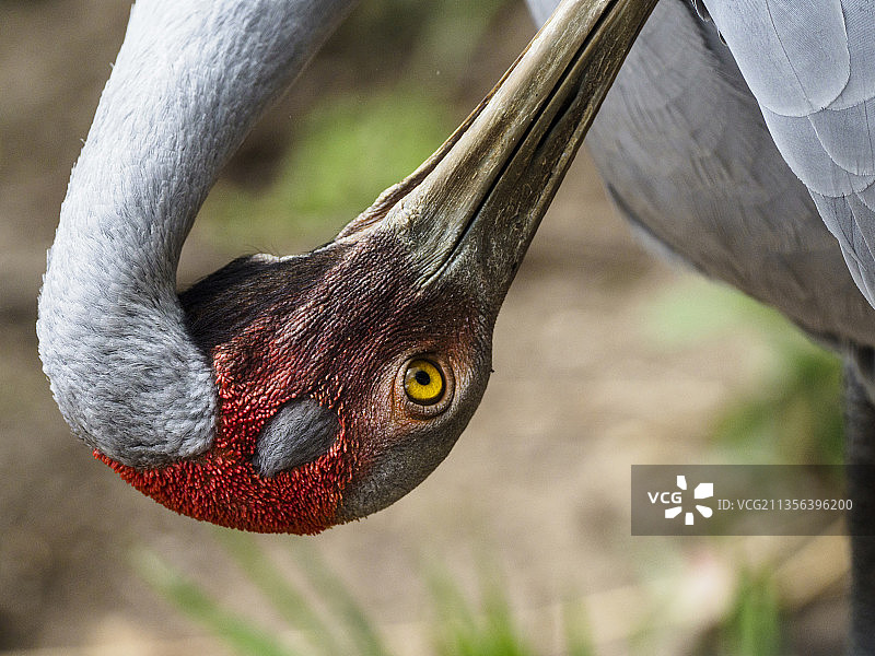 起重机特写图片素材