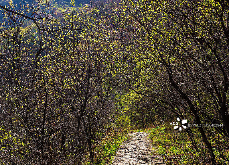 郑州巩义青龙山-慈云寺-后寺河景区春天图片素材