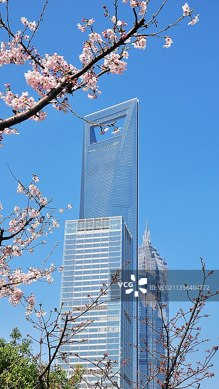 魔都之春色图片素材