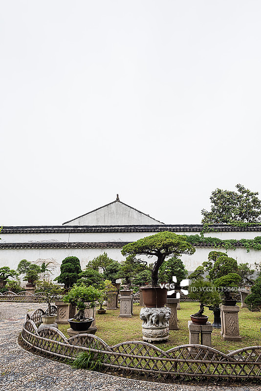 中国苏州拙政园的盆景园图片素材