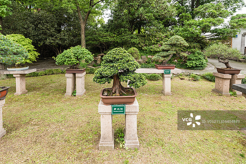 中国苏州拙政园的盆景园图片素材