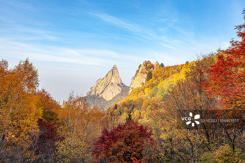秋天雾灵山森林公园秋色自然美图片素材