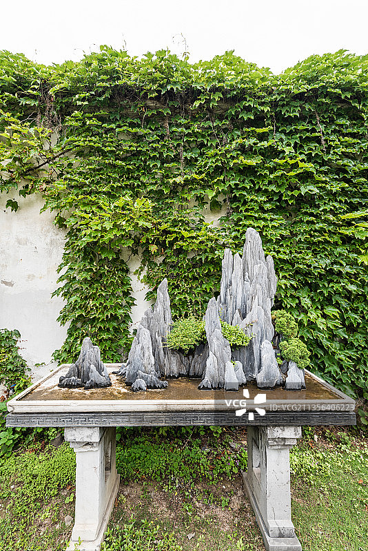 中国苏州留园的盆景园图片素材