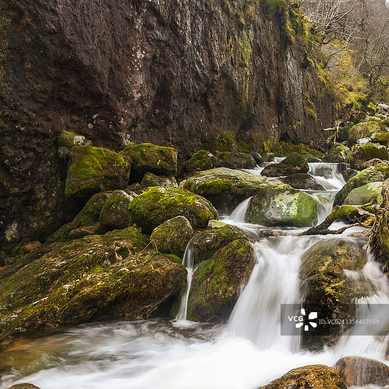 英国高地森林瀑布风景图片素材
