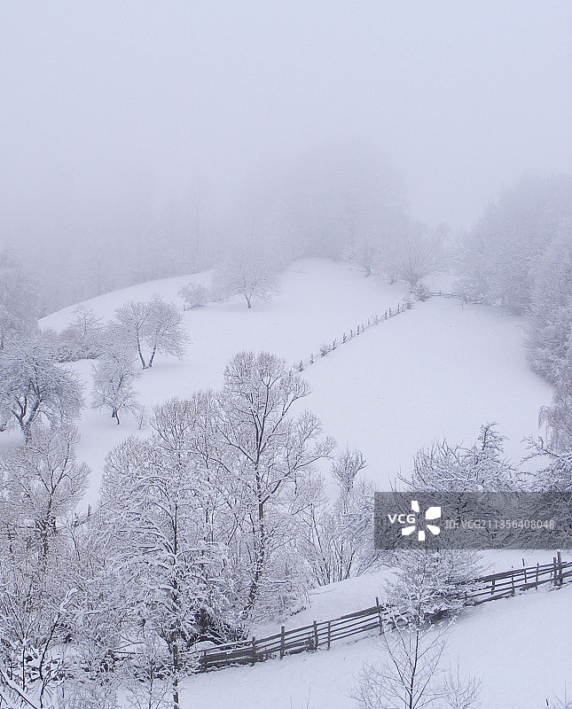 罗马尼亚布兰雪景风光图片素材