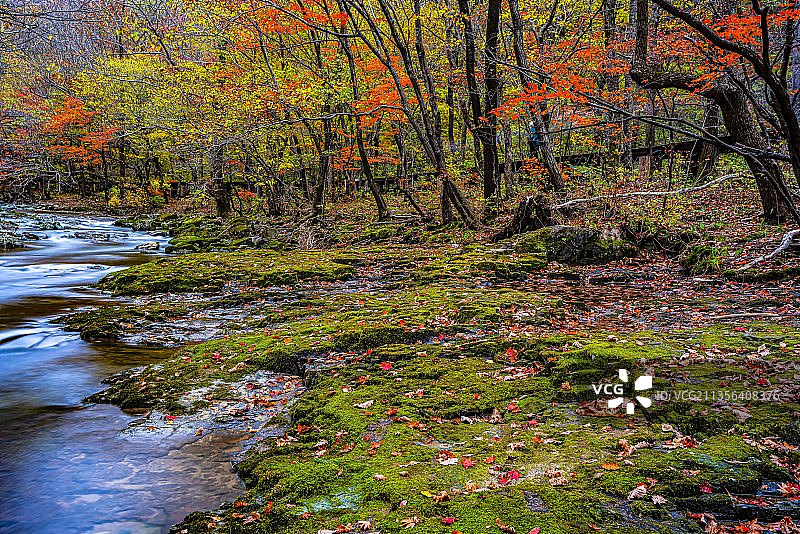 本溪红叶溪流 秋季枫叶风光 慢门摄影 风景摄影图片素材