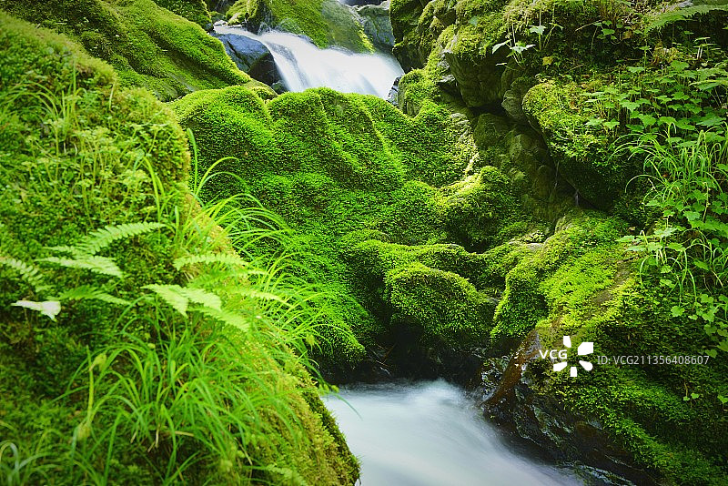 森林瀑布的风景图片素材