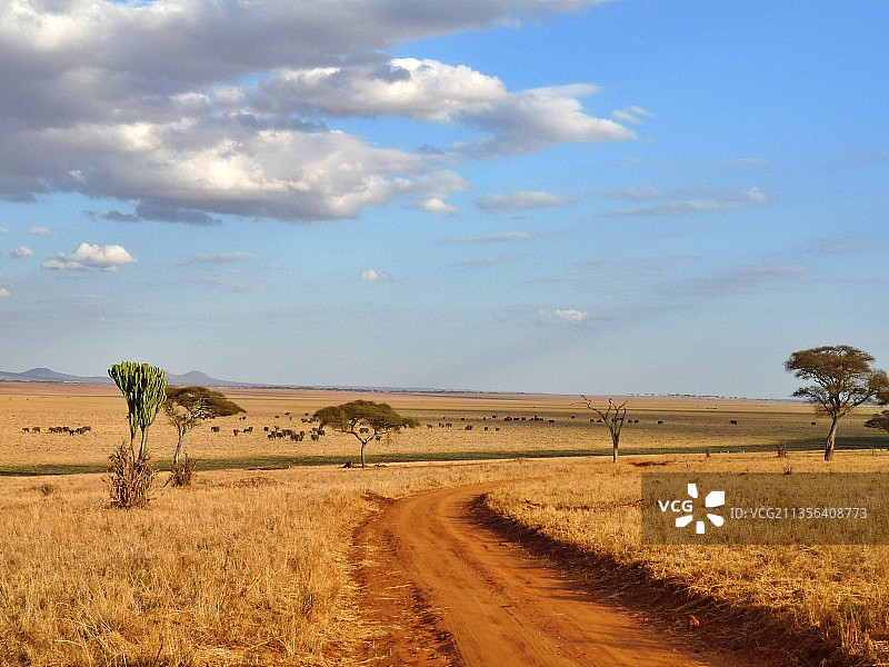 天空映衬下的农田风景图片素材