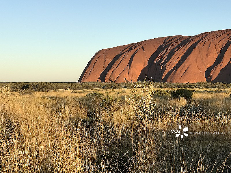 在晴朗的天空下田野的风景图片素材