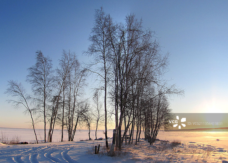 日落时分加拿大奴湖雪原上的树木图片素材