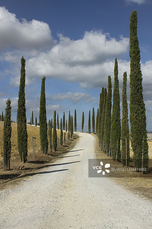 意大利萨萨里公路树木风光图片素材