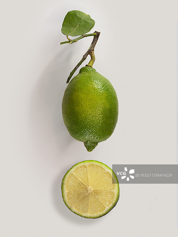意大利巴里，桌子上柠檬的特写，白色背景图片素材