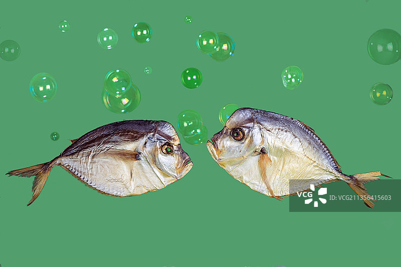 鱼在海里游泳的特写镜头图片素材