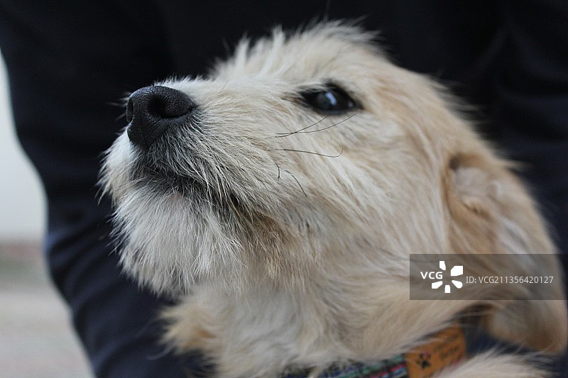 混合表情的特写图片素材