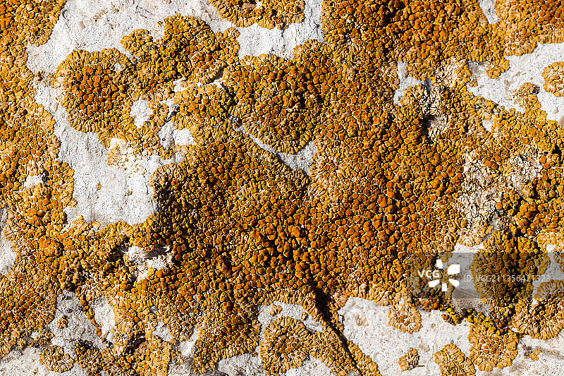 饱经风雨的墙的全框架镜头图片素材