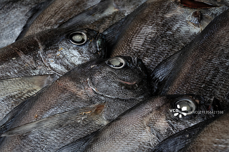 市场上出售的海鲷鱼俯视图图片素材