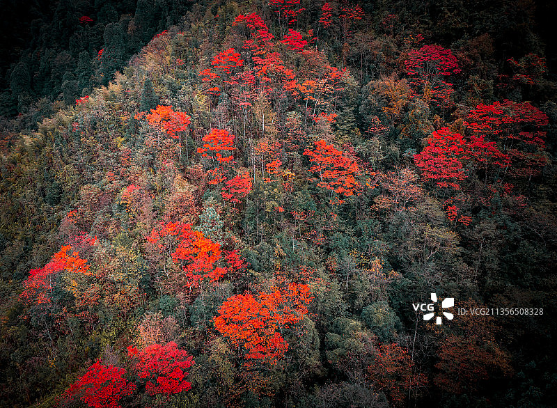 深秋月亮山靡风景美图片素材