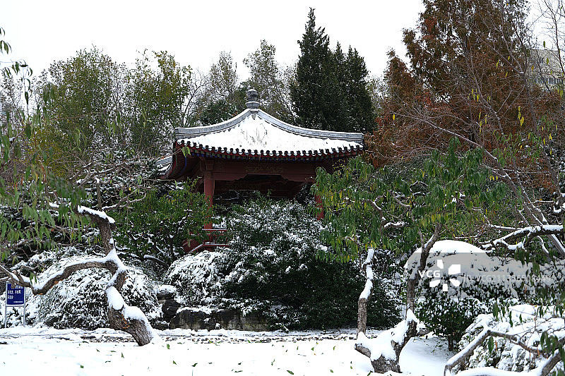 2021年11月7日，北京元土城遗址公园雪景如画。图片素材