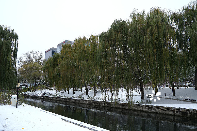 2021年11月7日，北京元土城遗址公园雪景如画。图片素材
