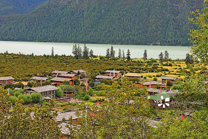 西藏，林芝，巴松湖，森林公园。图片素材