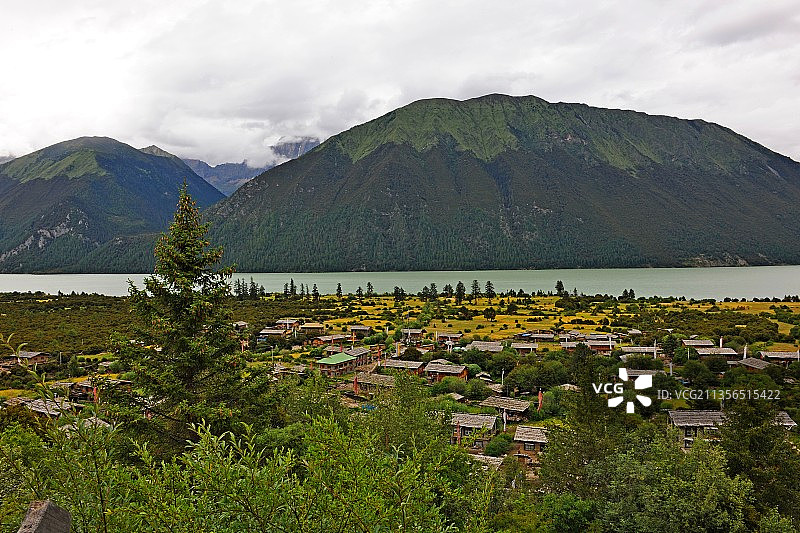 西藏，林芝，巴松湖，森林公园。图片素材