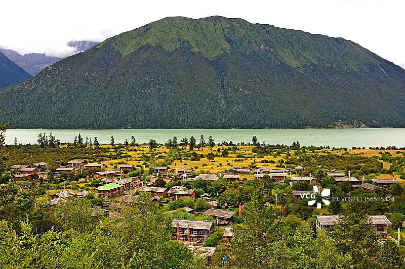 西藏，林芝，巴松湖，森林公园。图片素材