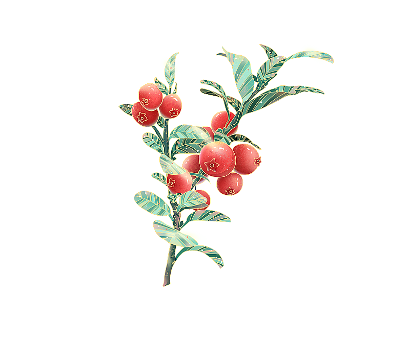 国潮古风插画蔓越莓图片素材