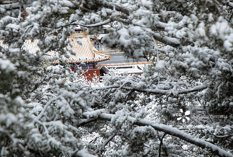 雪景，松树，松枝，古建筑，冬天，立冬，冬至，节气，寒冷，冬图片素材