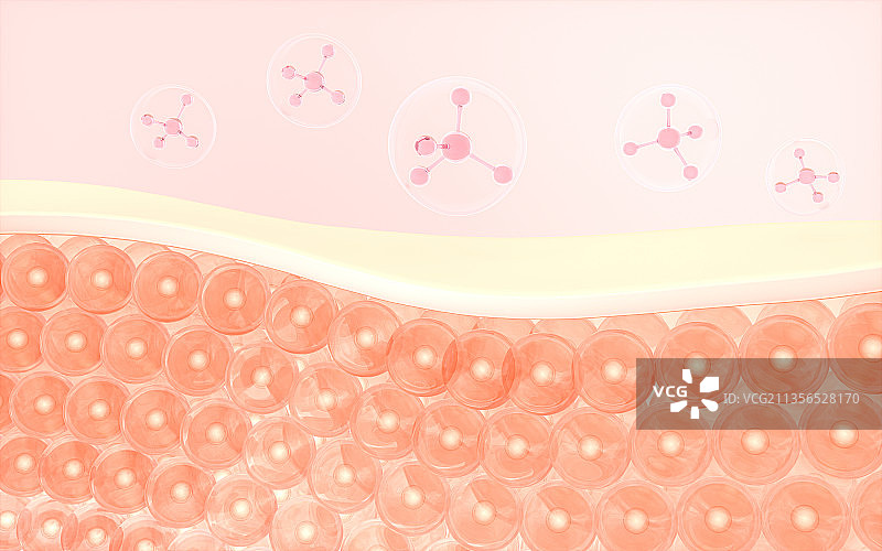皮肤细胞与吸收的分子 3D渲染图片素材